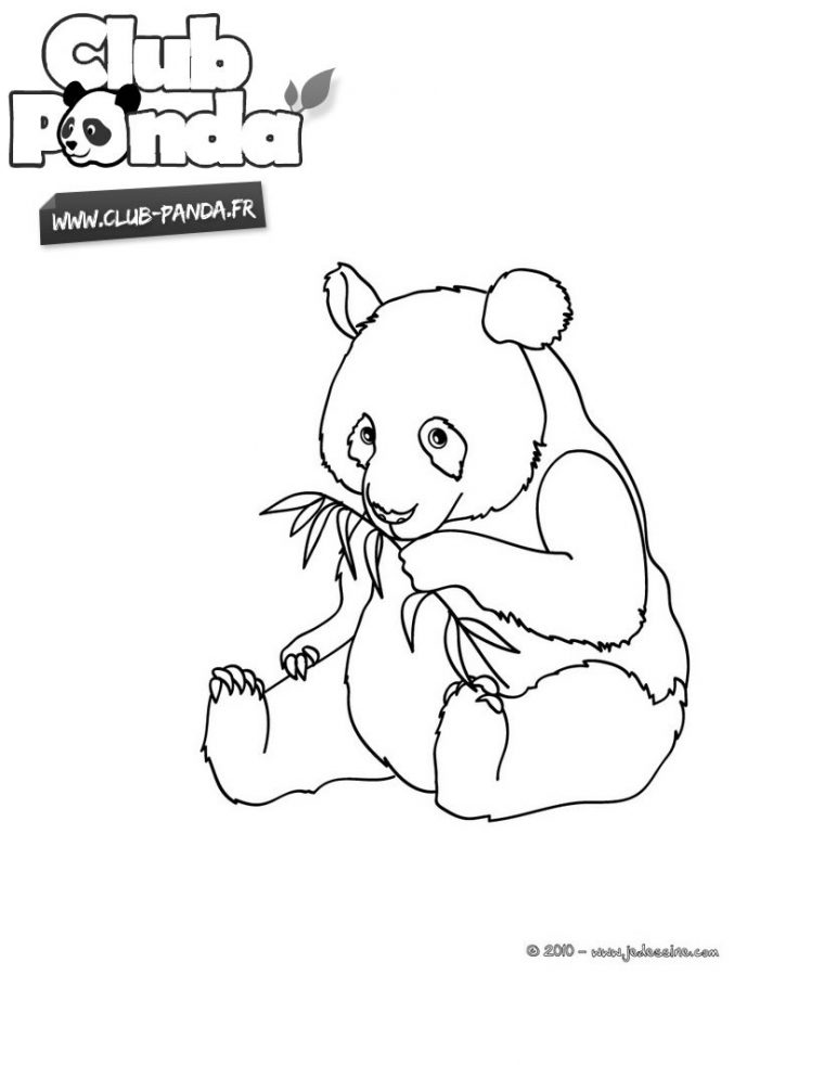 Coloriages Club-Panda – Coloriages – Coloriage À Imprimer dedans Panda À Colorier