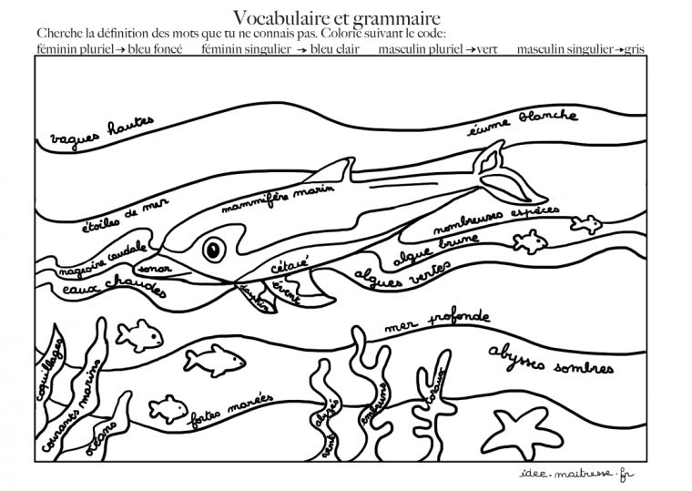 Coloriages Codés Du Dauphin Pour Maternelle Et Élémre à Coloriage Codé Maternelle