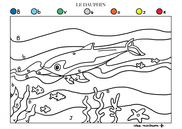 Coloriages Codés Du Dauphin Pour Maternelle Et Élémre dedans Coloriage A Imprimer De Dauphin