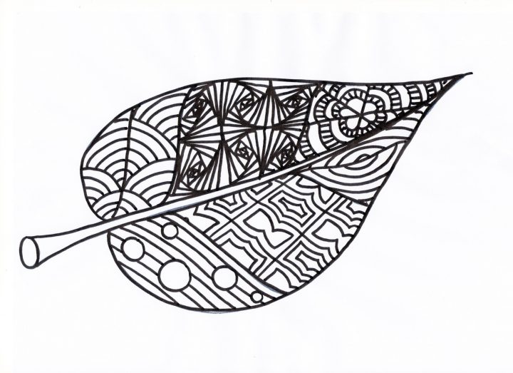 Coloriages D'automne – Crapouilleries dedans Dessin De Feuille D Arbre À Imprimer