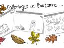 Coloriages D'automne dedans Cahier Coloriage A Imprimer