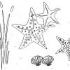 Coloriages D'étoiles De Mer À Imprimer - Coloriage À Imprimer tout Coloriage Sur La Mer À Imprimer