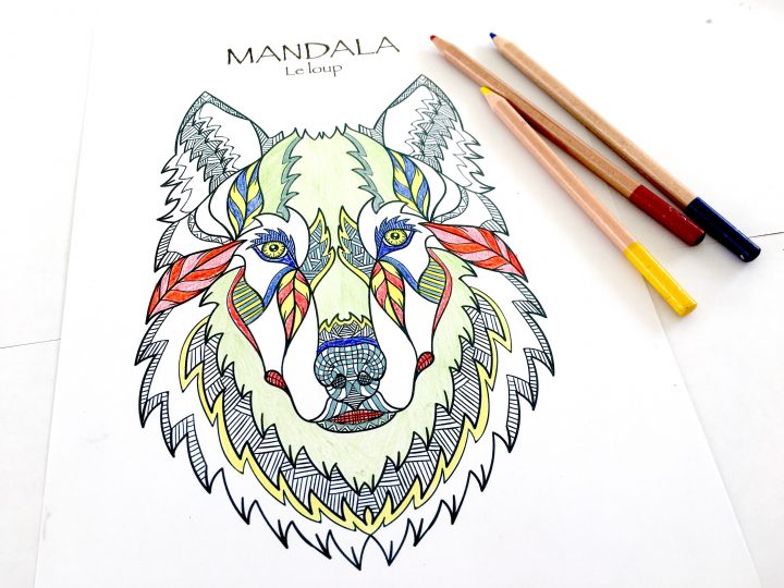 Coloriages Mandalas Animaux À Télécharger, Pour Enfants Et concernant Mandala Facile À Imprimer