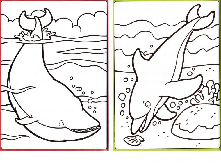 Coloriages | Objectifcairns concernant Dessin Dauphin À Imprimer