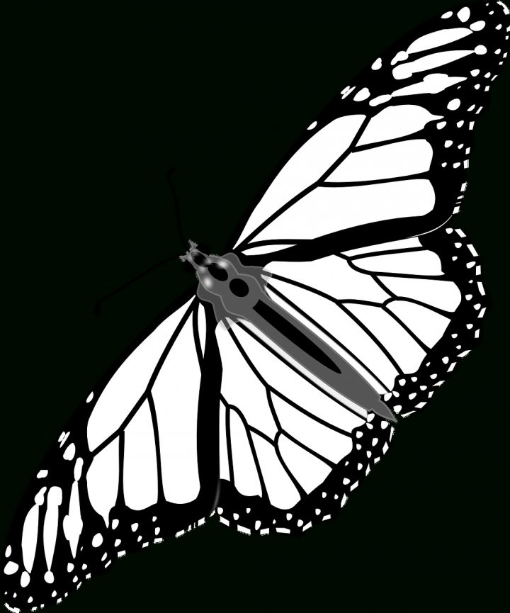 Coloriages Papillons À Imprimer. -Dessins De Papillons À avec Dessin A Imprimer Papillon Gratuit