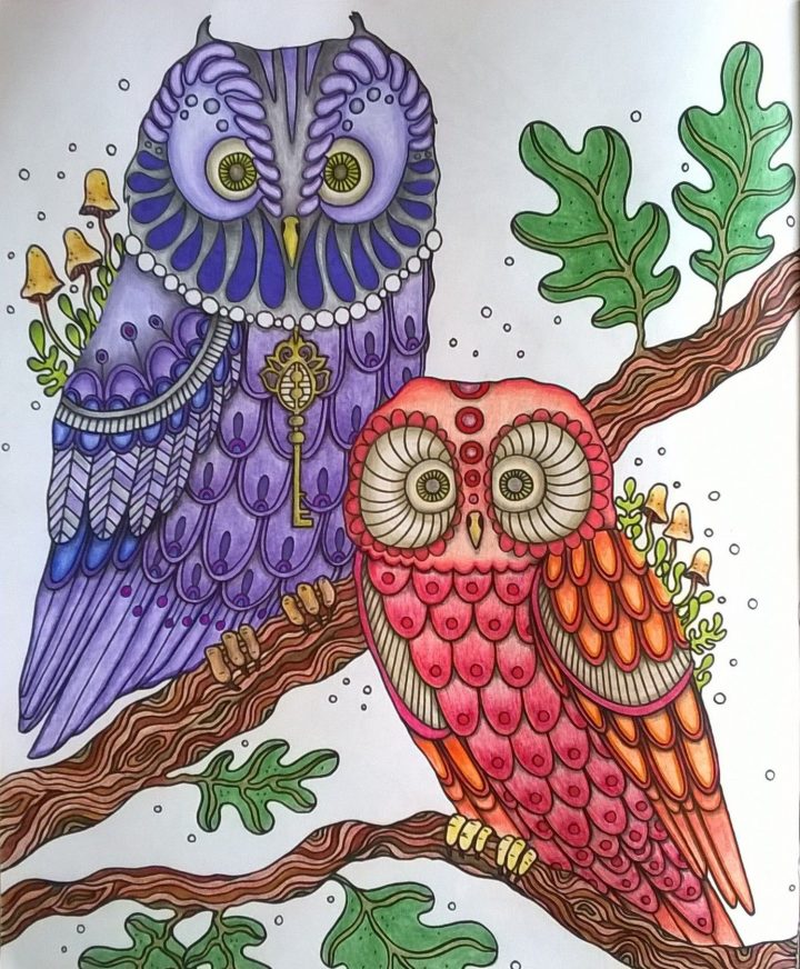 Coloring Book: Dagdrömmar, Pencils; Faber Castell encequiconcerne Hibou Dessin Couleur