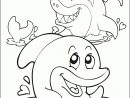 Coloring Dolphin And Shark (Coloriage Avec Un Dauphin Et Un concernant Coloriage A Imprimer De Dauphin