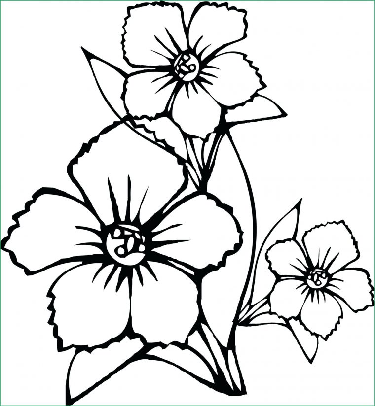 Coloring Pages : Coloring Awesome Stress Relief Flower Image à Mandala Fée