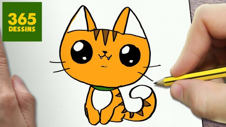 Comment Dessiner Chat Kawaii Étape Par Étape – Dessins Kawaii Facile encequiconcerne Hibou Dessin Couleur