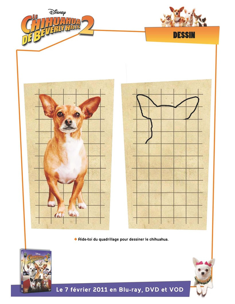 Comment Dessiner Dessiner Le Chihuahua De Beverly Hills - Fr pour Dessin Sur Quadrillage