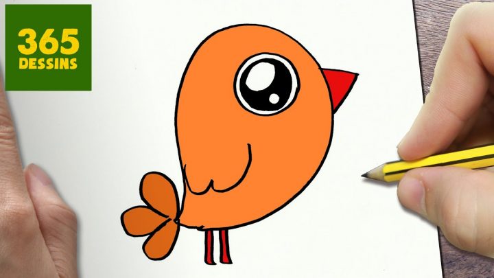 Comment Dessiner Petit Oiseau Kawaii Étape Par Étape – Dessins Kawaii Facile serapportantà Dessin D Oiseau Simple