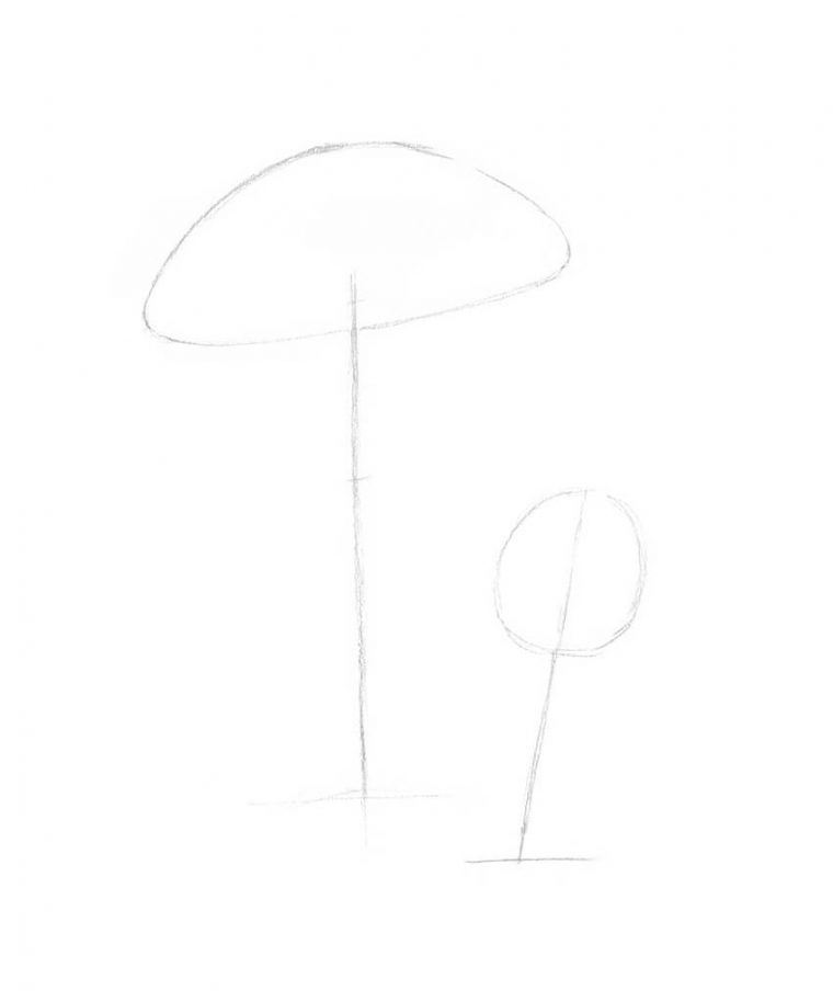 Comment Dessiner Un Champignon à Dessiner Un Champignon