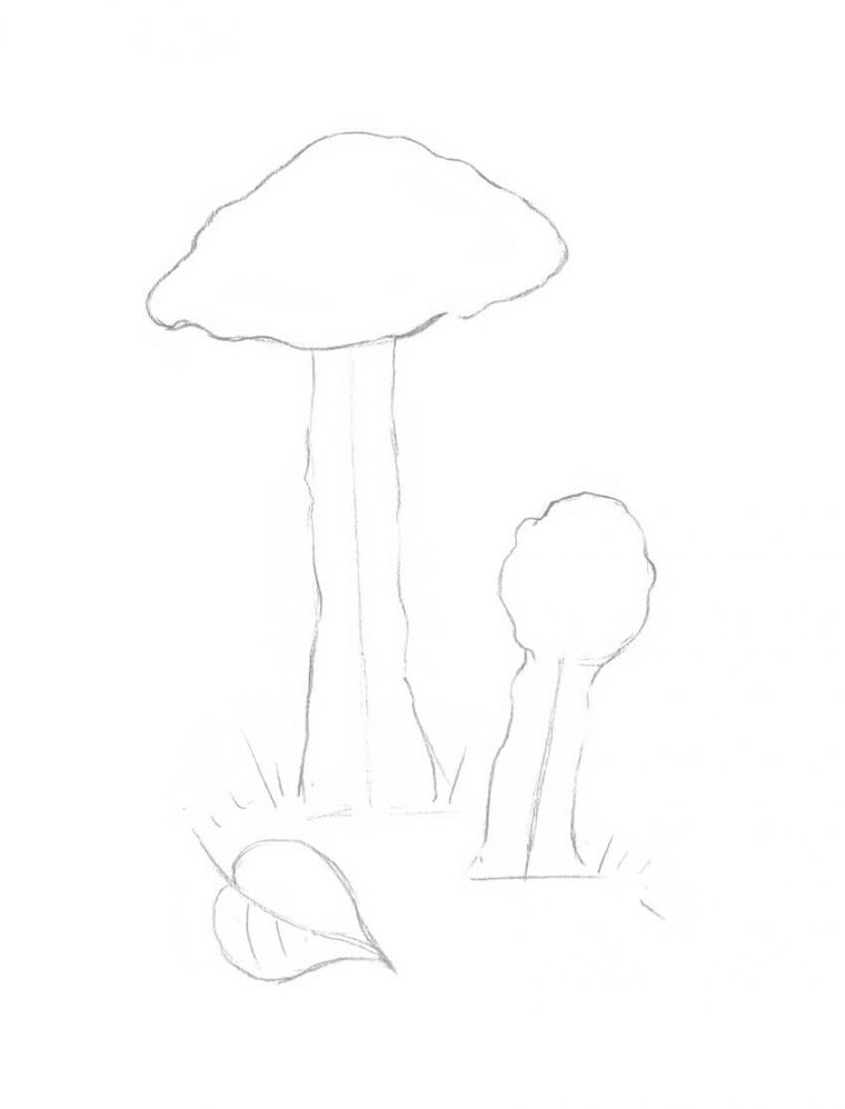 Comment Dessiner Un Champignon destiné Dessiner Un Champignon