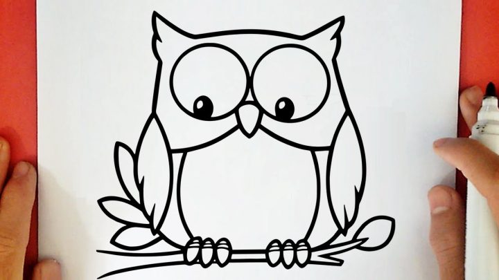 Comment Dessiner Un Hibou concernant Dessiner Un Hibou