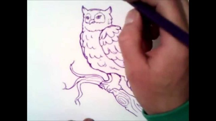 Comment Dessiner Un Hibou concernant Dessiner Un Hibou