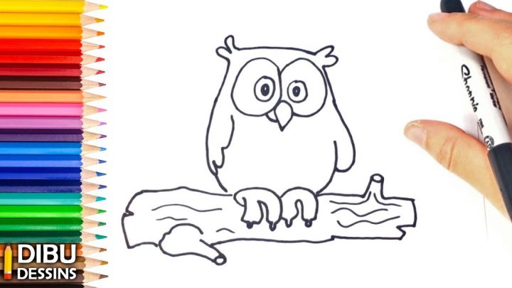 Comment Dessiner Un Hibou | Dessins Faciles serapportantà Dessin Hibou Facile