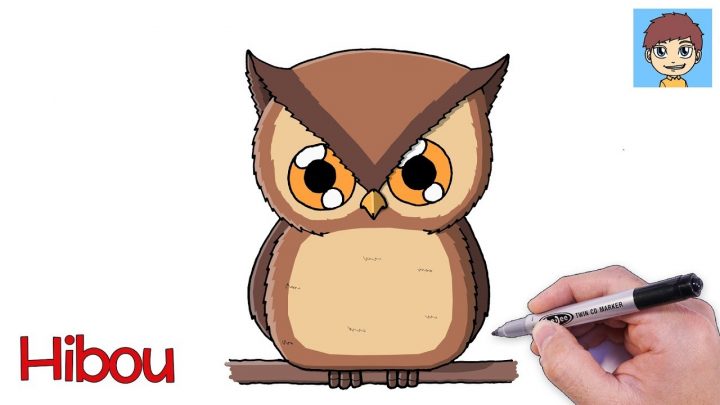 Comment Dessiner Un Hibou Facilement – Dessin Facile A Faire – Dessin Hibou encequiconcerne Dessin Hibou Facile