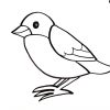 Comment Dessiner Un Oiseau | Dessin De Oiseau avec Dessin D Oiseau Simple
