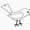Comment Dessiner Un Oiseau | Dessin De Oiseau Très Facile avec Dessin D Oiseau Simple