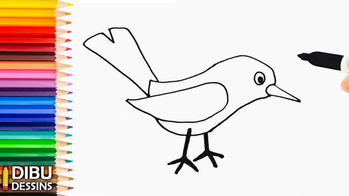 Comment Dessiner Un Oiseau | Dessin De Oiseau Très Facile avec Dessin D Oiseau Simple