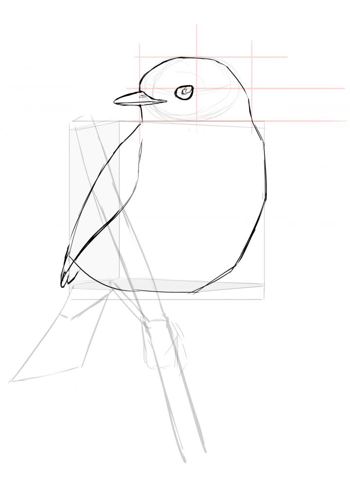 Comment Dessiner Un Oiseau Facilement – Dessindigo dedans Dessin D Oiseau Simple