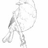 Comment Dessiner Un Oiseau Facilement - Dessindigo intérieur Dessin D Oiseau Simple