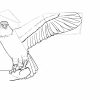 Comment Dessiner Un Oiseau Facilement - Dessindigo serapportantà Dessin D Oiseau Simple