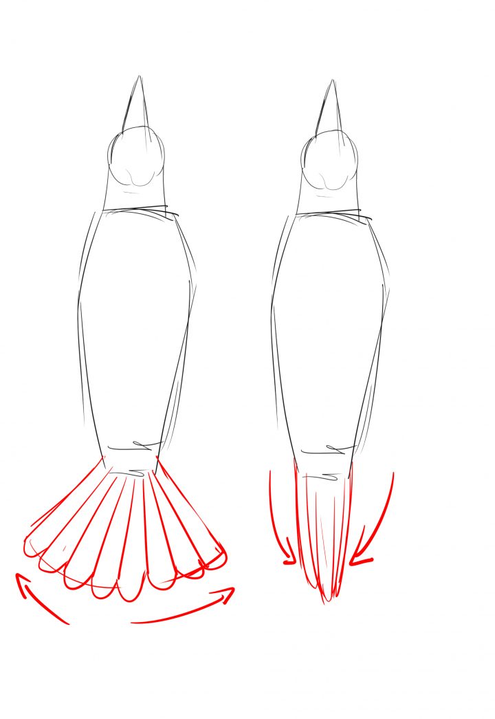 Comment Dessiner Un Oiseau Facilement – Dessindigo tout Dessin D Oiseau Simple