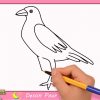 Comment Dessiner Un Oiseau Facilement Etape Par Etape Pour Enfants 1 concernant Dessin De Cage D Oiseau