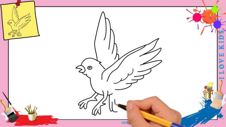 Comment Dessiner Un Oiseau Qui Vole Facilement Etape Par Etape avec Dessin De Cage D Oiseau