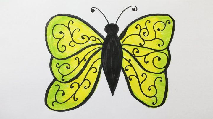 Comment Dessiner Un Papillon concernant Papillon À Dessiner