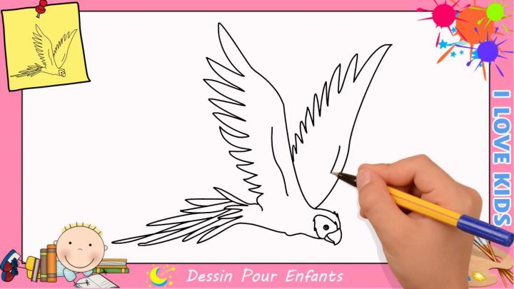 Comment Dessiner Un Perroquet Qui Vole Facilement Etape Par Etape 2 serapportantà Dessin D Oiseau Simple