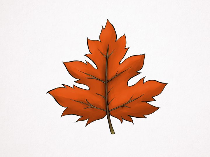 Comment Dessiner Une Feuille D'érable: 10 Étapes pour Dessin De Feuille D Automne