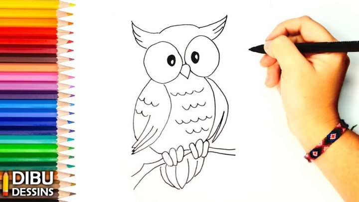 Comment Dessiner Une Hibou | Dessin De Hibou encequiconcerne Dessiner Un Hibou