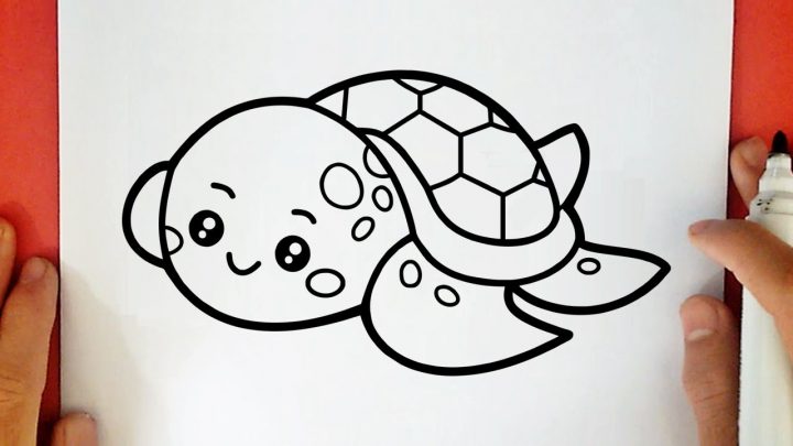 Comment Dessiner Une Tortue Kawaii destiné Dessiner Une Tortue