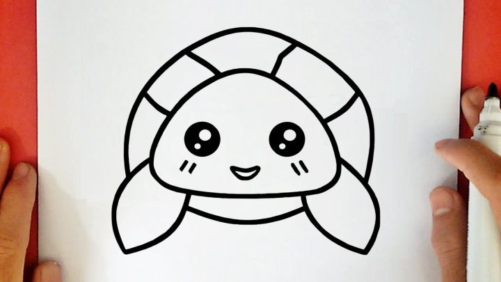 Comment Dessiner Une Tortue Kawaii serapportantà Dessiner Une Tortue