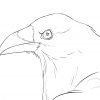Comment Réaliser Un Dessin De Corbeau - Dessindigo intérieur Dessin D Oiseau Simple