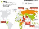 Coronavirus : 33 Morts Et 1 784 Personnes Contaminées En serapportantà Carte De France Pour Les Enfants