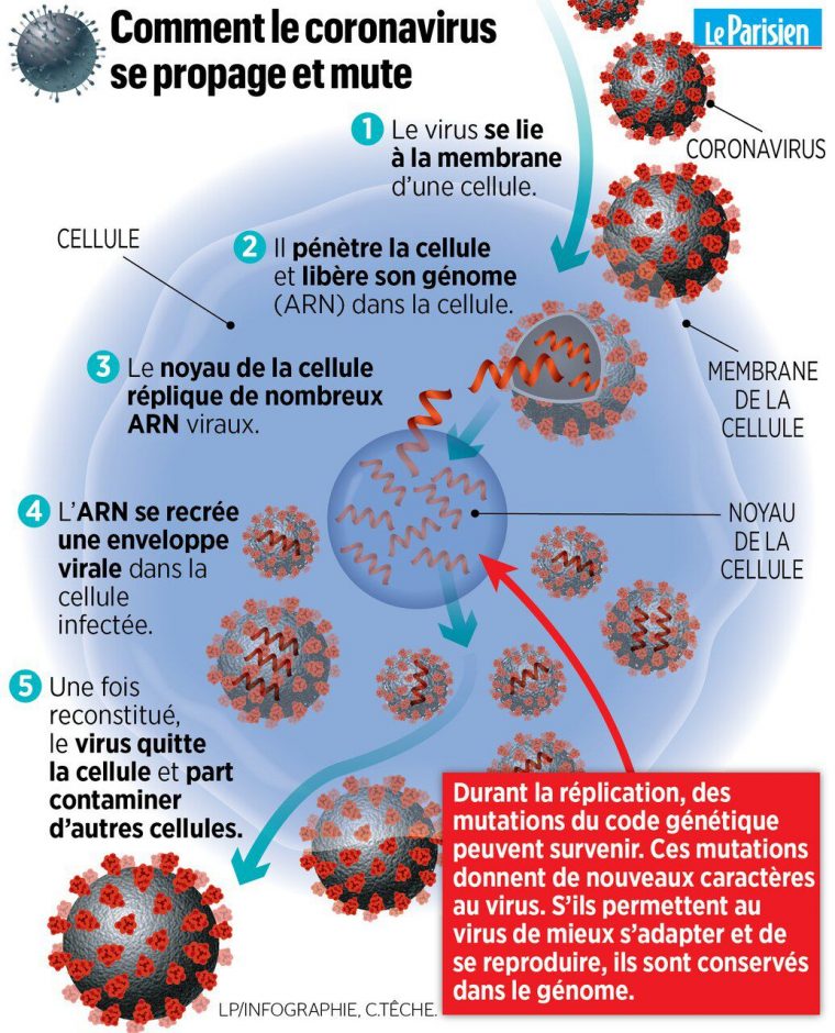 Coronavirus : 613 Personnes Contaminées En France – Le Parisien tout Combien De Departement En France