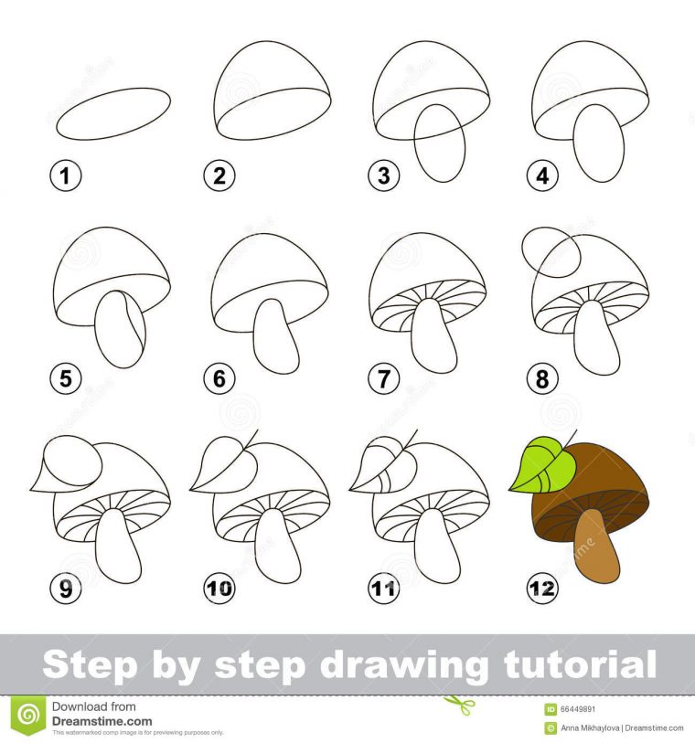 Cours De Dessin Comment Dessiner Un Champignon Illustration encequiconcerne Dessiner Un Champignon