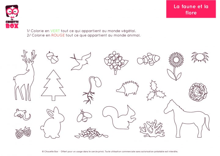 Cuisine: Activitã©S Montessori Ã Imprimer Autour Du à Activités Maternelle À Imprimer