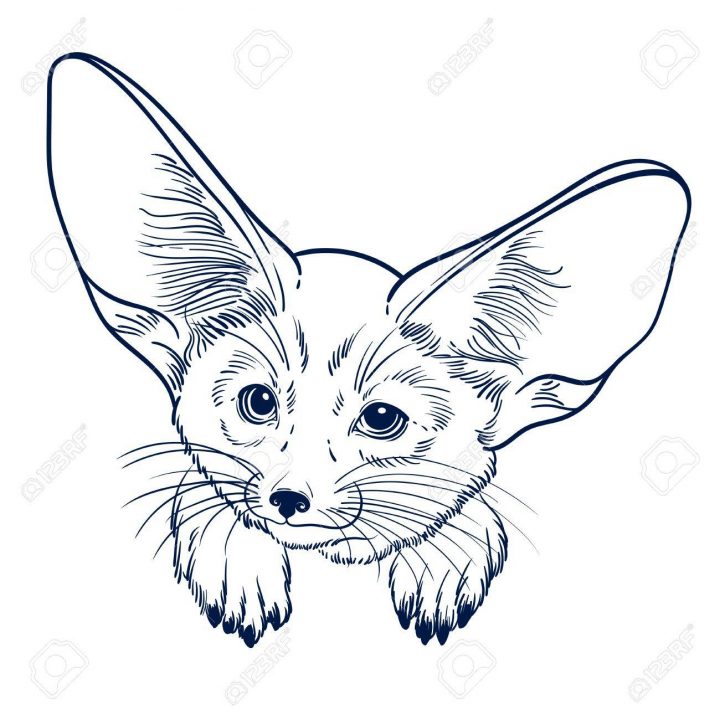 Cute Animal. Petit Renard Fennec. Enfants Linéaires Illustrations Pour Le  Livre De Coloriage. Pour Imprimer Des T-Shirts, Sacs Ou Couverture. intérieur Livre De Coloriage À Imprimer