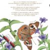 Cycle De Vie Du Papillon - Partie 1 | Activités Enfants serapportantà Cycle De Vie D Une Chenille