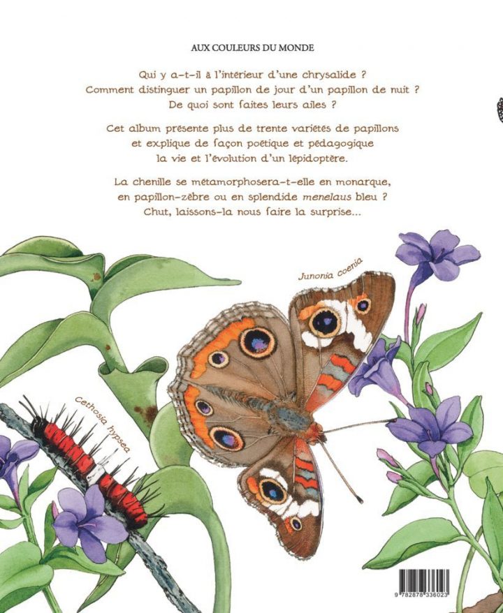 Cycle De Vie Du Papillon – Partie 1 | Activités Enfants serapportantà Cycle De Vie D Une Chenille