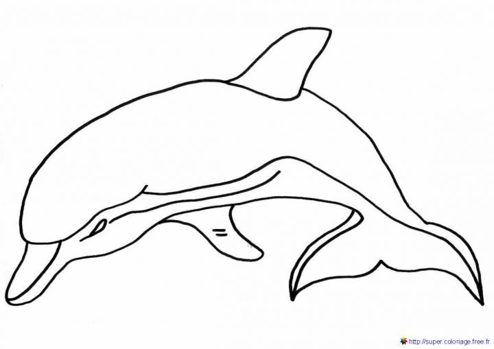 Dauphin #85 (Animaux) – Coloriages À Imprimer concernant Dessin De Dauphin À Colorier