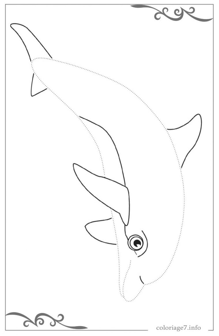 Dauphins Coloriages Simples Avec De Larges Contours Pour Les destiné Dessin Dauphin À Imprimer