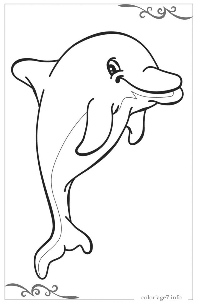 Dauphins Dessins Simples Pour Le Coloriages Des Petits Enfants dedans Dessin Dauphin A Imprimer