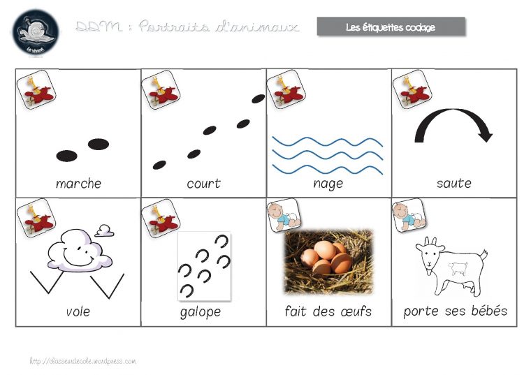 Ddm Le Vivant -Cycle 1 : Portraits D'animaux intérieur Les Animaux Domestiques En Maternelle