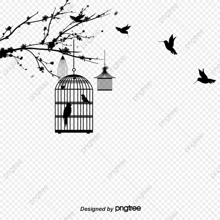 De La Cage D'oiseau Et Esthétique De Silhouette Noire concernant Dessin De Cage D Oiseau