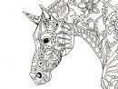 Decorative-Horse-Profile | Coloriage Cheval, Coloriage à Jeux De Coloriage De Cheval